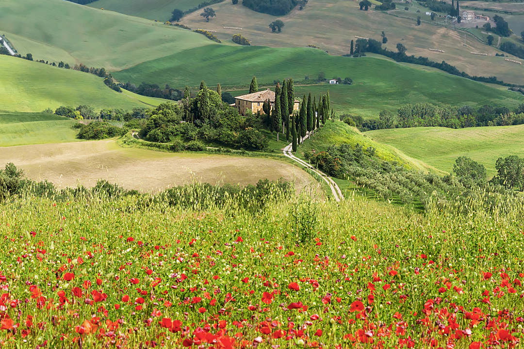Wedding in Tuscany among the fabulous landscapes of Val-d-Orcia title=