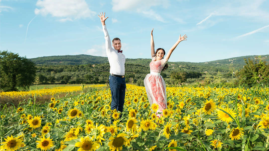 sunflowers tuscany italy