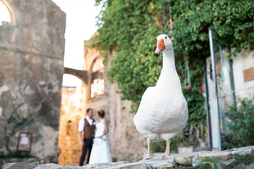 Wedding photo shooting in Sanremo, wedding photographer in Sanremo title=