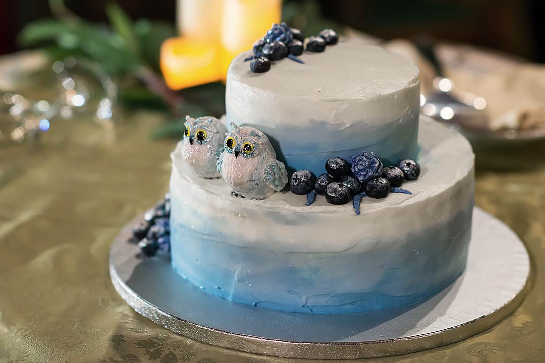 свадебный торт с совами горы италия