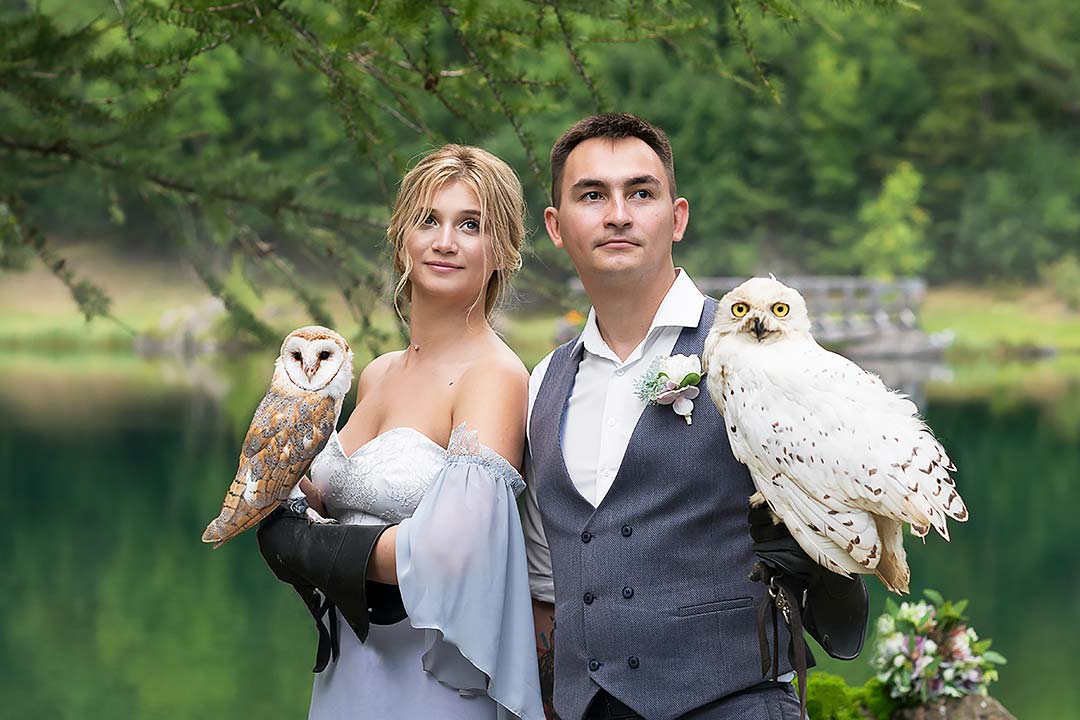 Wedding in chalet on shore of Alpine lake, photoshoot with an owl title=